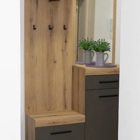 Millennium Apartment