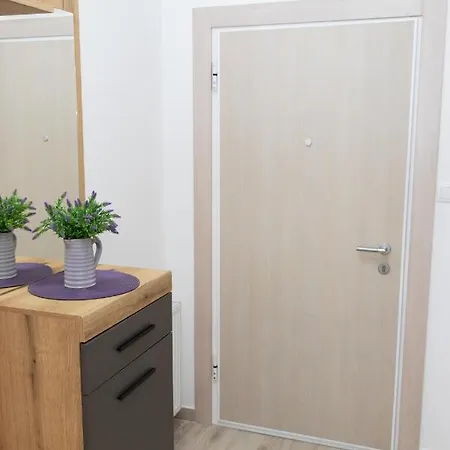 Millennium Apartment *